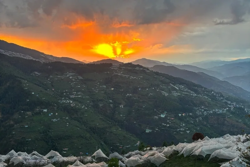 The Painters Retreat